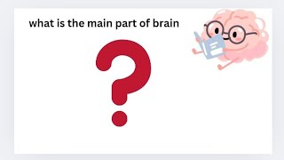 what is the main part of brain 🧠 [upl. by Delaine]