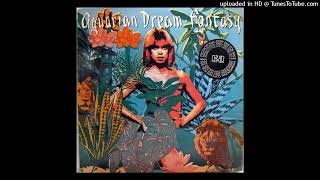 AQUARIAN DREAM quotYoure A Starquot LP 1978 Fantasy ELEKTRA [upl. by Nosyerg]