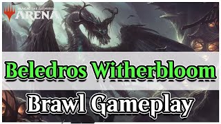 Beledros Witherbloom Brawl Deck  MTG Arena Brawl Gameplay and Deck [upl. by Netsryk]