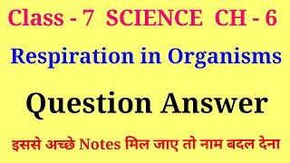 respiration in organisms class 7 question and answer  class 7 science chapter 6 question answer [upl. by Romine444]