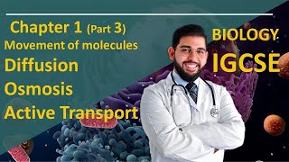 Biology IGCSE Movement of molecules in and out of the cells OLevel and Core [upl. by Ylagam]