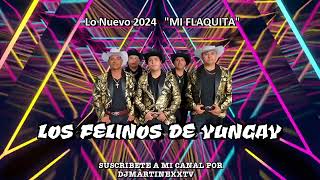 LOS FELINOS DE YUNGAY MI FLAQUITA 2024 [upl. by Roosevelt320]