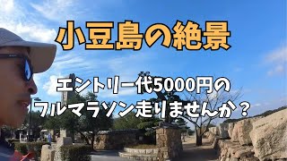 【小豆島タートルマラソンコースを試走】土庄港から大坂城残石記念公園までマラニックして見えた景色が・・・ [upl. by Inaliak]