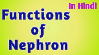 Functions of Nephron  nephron physiologyenglishहिंदी [upl. by Demott]