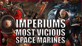 The Flesh Tearers EXPLAINED By An Australian  Warhammer 40k Lore [upl. by Hsakiv969]