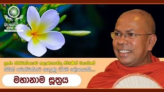 Mahanama Sutta මහානාම සූත්‍රය  Ven Kiribathgoda Gnanananda Thero [upl. by Rehpotsrik]