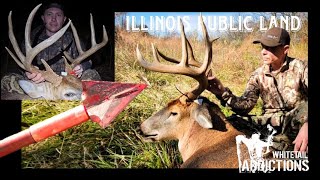 PUBLIC LAND ILLINOIS BIG BUCKS with Brain Douglas [upl. by Etirugram971]