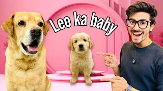 Leo Ka Baby  Papa Ban Gaya Leo  Anant Rastogi [upl. by Ravaj69]