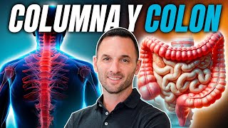 ¿Sufres de dolor lumbar El problema está en tu INTESTINO ¡No en tu columna 😨 [upl. by Ithnan]