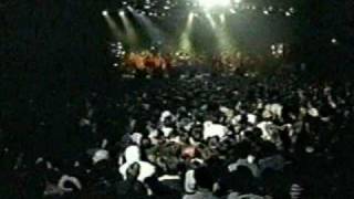 LOS FABULOSOS CADILLACS  El aguijón Estadio Obras Buenos Aires 22071994 [upl. by Jarus]