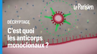 Les anticorps monoclonaux sontils un traitement d’avenir contre le coronavirus [upl. by Tapes298]