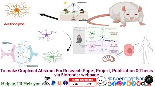 How to make Graphical Abstract For ResearchPaper Project Publicationamp Thesis via Biorender webpage [upl. by Naggem]