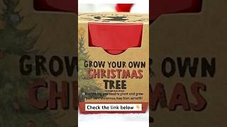 Grow your own Christmas tree DIY secretsantaideas kit Christmasplantlovers [upl. by Linson]