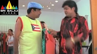 Nenunnanu Movie Brahmanandam Misbehavior Scene  Nagarjuna Aarti Shriya  Sri Balaji Video [upl. by Gathers]