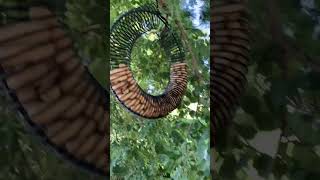 Hugeleaf 2 Pieces Peanut Bird Feeder Hanging Wreath Round Metal w Hanging Hook for Birds Squirrels [upl. by Holli]