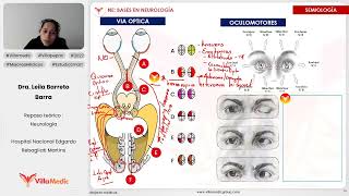 BASES EN NEUROLOGÍA PARTE 3  NEUROLOGÍA  VILLAMEDIC [upl. by Yortal51]