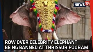 Row Over Ban on Celebrity Elephant ‘Ramachandran’​ at Thrissur Pooram [upl. by Odnumyer634]