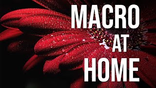 This easy macro idea is AMAZING to try at home Tutorial with lighting focus stacking [upl. by Kcid]