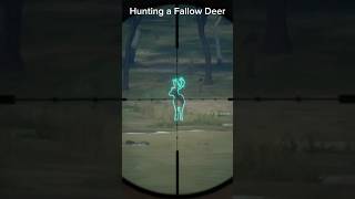 Hunting a Fallow Deer [upl. by Latif]