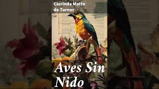 AVES SIN NIDO  CLORINDA MATTO DE TURNER  MI NOVELA FAVORITA ORIGINAL [upl. by Hudson760]