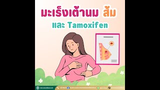 มะเร็งเต้านม ส้ม และTamoxifen [upl. by Leiad144]