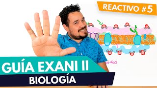 GUÍA EXANI II 🎓  Reactivo 5  Diagnostico  Biología  UV  UAEMEX  UADY  UAEH [upl. by Alaik]