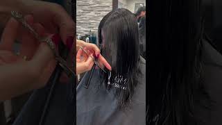 Hair haircutting youtube Videohair style youtube Videohircuthair hairsalon hairvideo hairc [upl. by Nahtanaoj193]