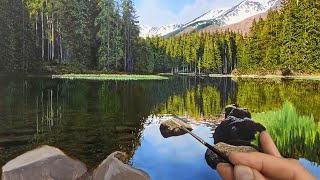 Lake Reflections Oil Painting  Time Lapse  Episode 175 [upl. by Atiekahs960]