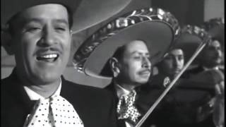 Pedro Infante  Mi Tenampa [upl. by Idelia]