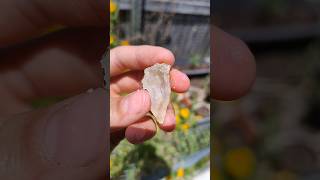 Beautiful botryoidal druzy geode cut open from Redcliffe thefinders crystals [upl. by Dora883]