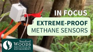 Monitoring Methane Stanford researchers design sensors to detect methane emissions from wetlands [upl. by Virendra]