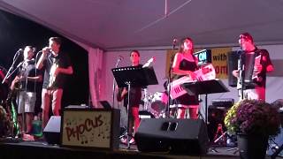 Box On Band  Roncesvalles Polish Festival Toronto 2018  Goodnight Goodbye Polka [upl. by Ibot]