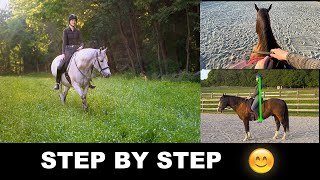 HOW TO RIDE A HORSE FOR BEGINNERS STEP BY STEP 🐎 [upl. by Brenan764]