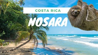 Nosara Costa Rica [upl. by Bisset]