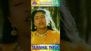 Amaravathi Movie Songs  Tajumahal Thevailla Video Song  Ajith Kumar  Sanghavi  YTShorts [upl. by Annauj]