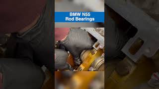 BMW N55 Rod Bearings Like  Subscribe for more BMW content [upl. by Didi]