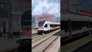 sbb cff ffs seehas stadlerflirt stadler trainspotting train shorts yt [upl. by Buerger]