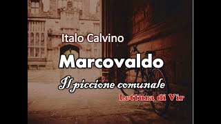 I Calvino Marcovaldo  Il piccione comunale  Audiolibro ita Lettura di Vir [upl. by Ulick]