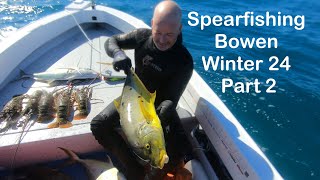 Spearfishing Bowen Winter 24 Part 2 [upl. by Vallie]