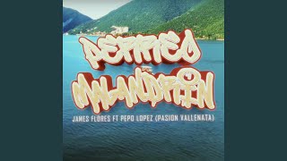 PERREO MALANDRIN feat APV Passion Vallenata [upl. by Donohue]