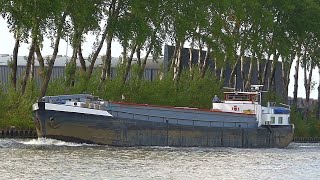 ⚓️VERTROUWEN mooi vrachtschip van 1957 uit Wemeldinge NL 02312975 07 10 2024 [upl. by Falo]