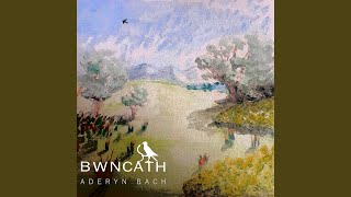 Aderyn Bach [upl. by Grane]