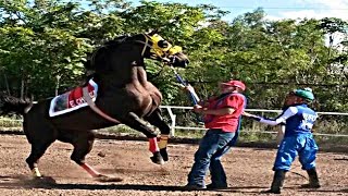 Corrido de quotEl Chesterquot  Carreras y Corridos de Caballos  2016 [upl. by Dnilazor42]