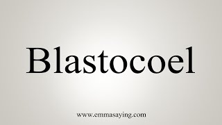 How To Say Blastocoel [upl. by Hannibal]