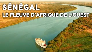 Sénégal le fleuve dAfrique de lOuest  Des Racines et des Ailes  Documentaire complet [upl. by Ahcurb]