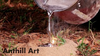 Casting a Fungus Farming Ant Colony with Molten Aluminum Cast 107 [upl. by Gnurt905]