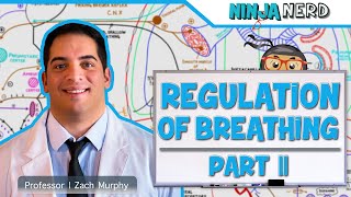 Respiratory  Regulation of Breathing Central amp Peripheral Chemoreceptors Part 2 [upl. by Banyaz]