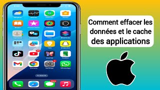 Comment effacer les données dapplication sur iPhone  Comment vider le cache sur iPhone [upl. by Anayk]