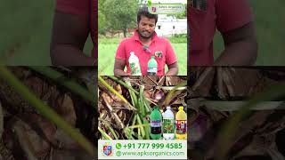 Tamil Onion Online Farmer MrRajkumar giving feedback about our Product result [upl. by Lejeune600]