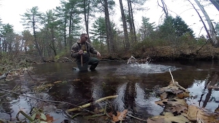 Wachusett Reservoir Salmon Fishing [upl. by Eilrebma364]